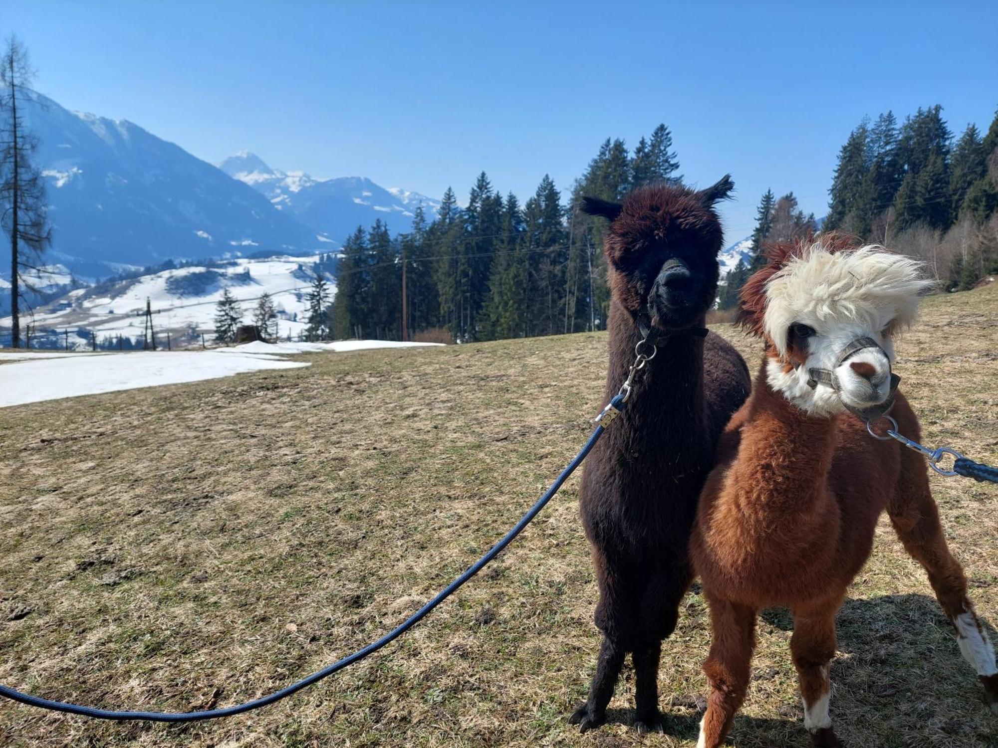 Klockergut Villa Sankt Veit im Pongau Exterior foto